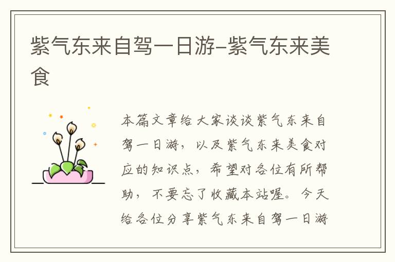 紫气东来自驾一日游-紫气东来美食